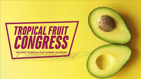 Tropical Fruit Congress, a Macfrut esperti internazionali si confronteranno sull’avocado